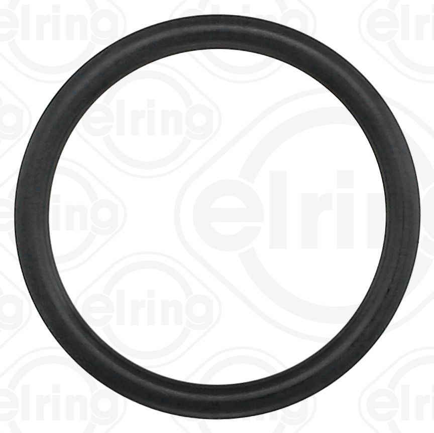 Dichtring