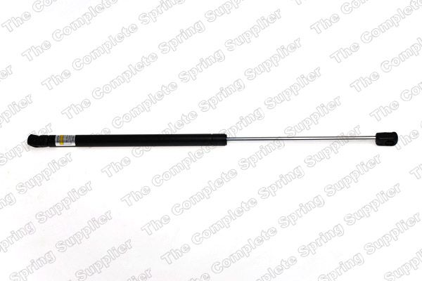 Gasfeder, Koffer-/Laderaum