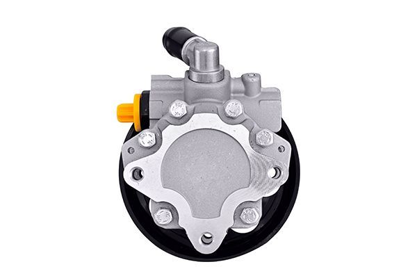Hydraulikpumpe, Lenkung