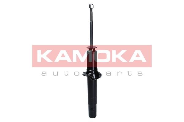 Shock Absorber 2000711