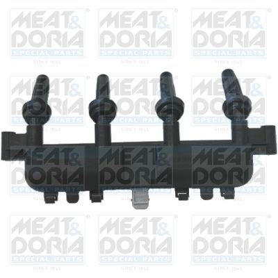 Ignition Coil 10324