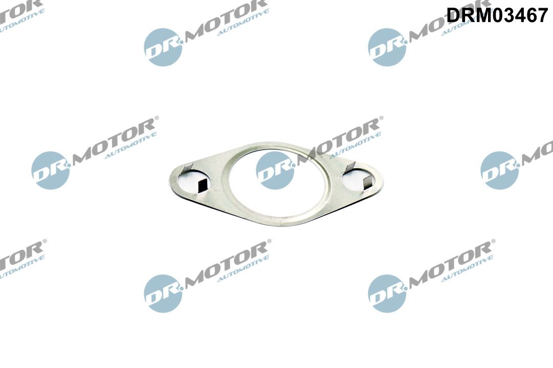Dr.Motor Automotive DRM03467 Dichtung, AGR-Ventil