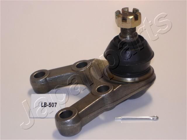 LB-507_1.JPG