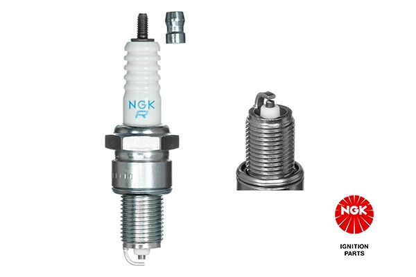 Spark Plug 3923