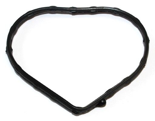Dichtung, Thermostatgehäuse