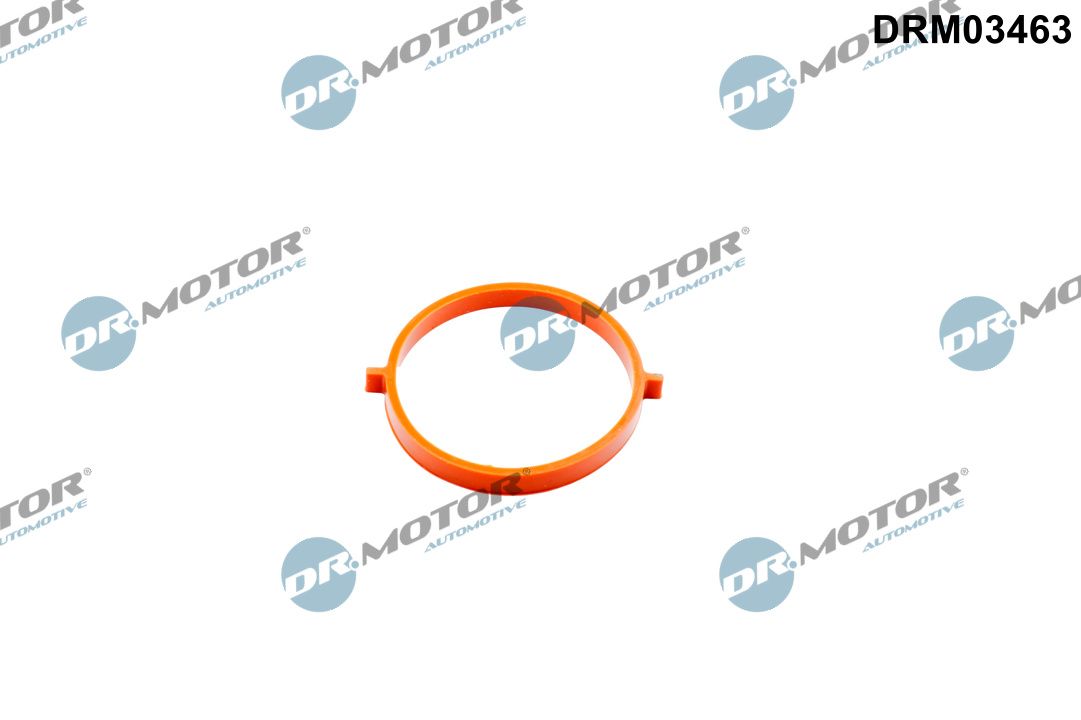 Dr.Motor Automotive DRM03463 Dichtung, Drosselklappenstutzen
