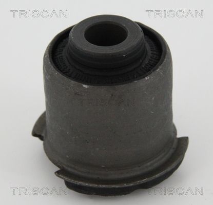 Triscan 8500 17806 Lagerung, Lenker