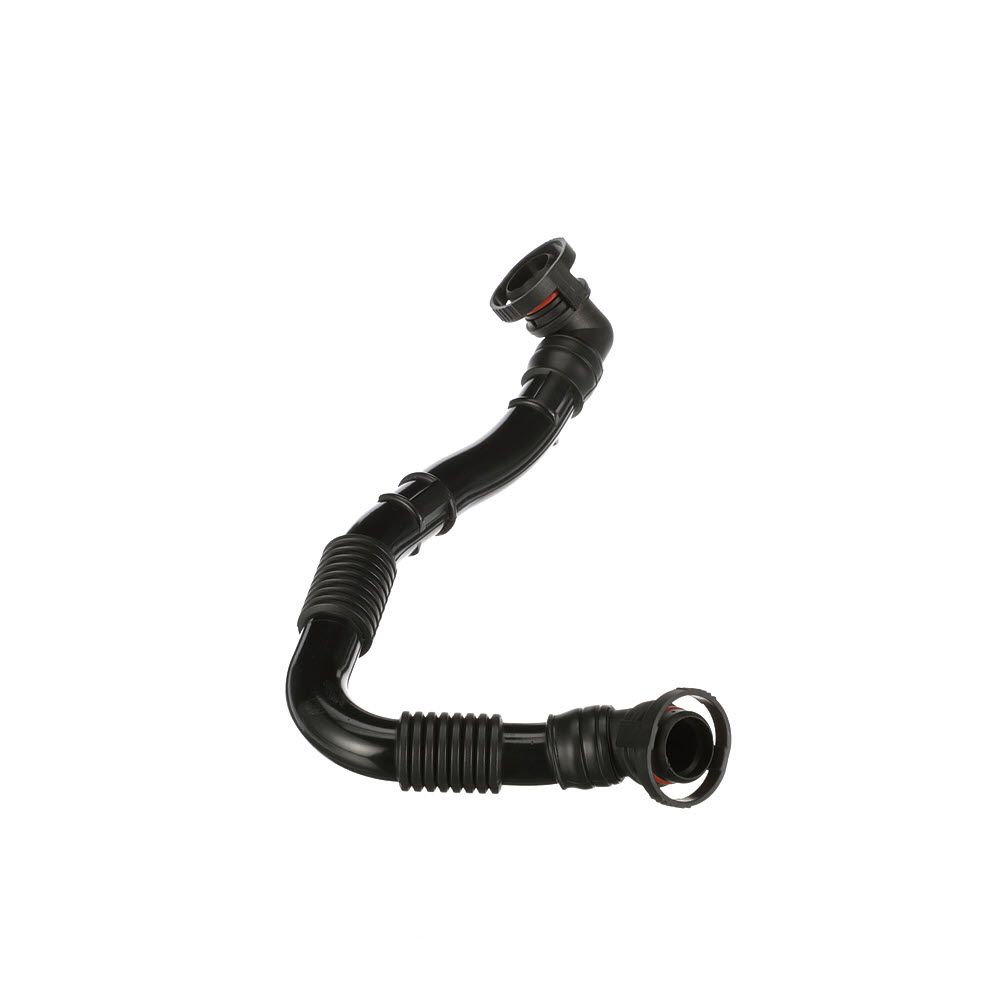 žarna, karterio alsuoklis