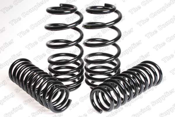 Fahrwerkssatz, Federn