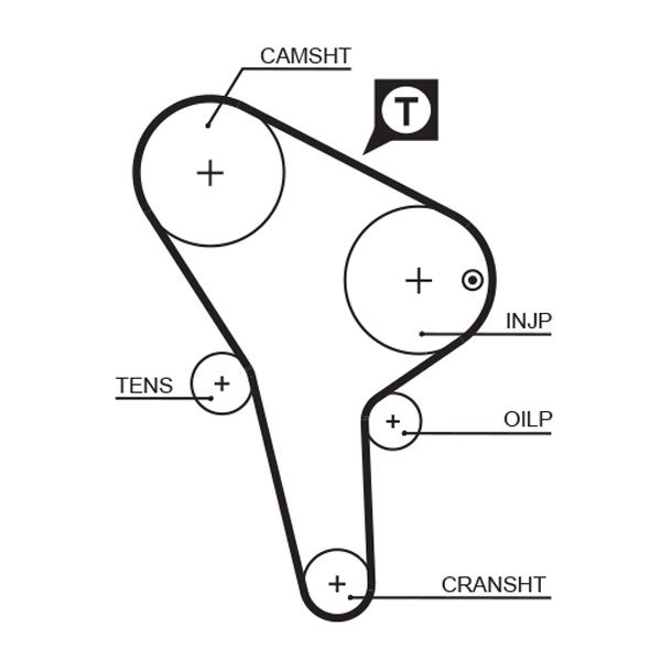 Timing Belt 5176