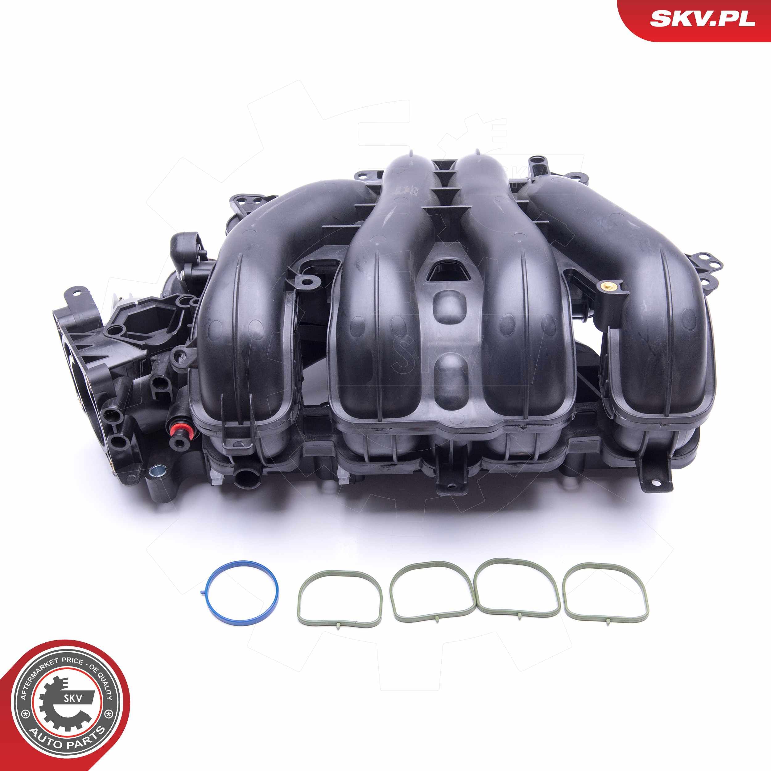 ESEN SKV 49SKV027 - Saugrohrmodul