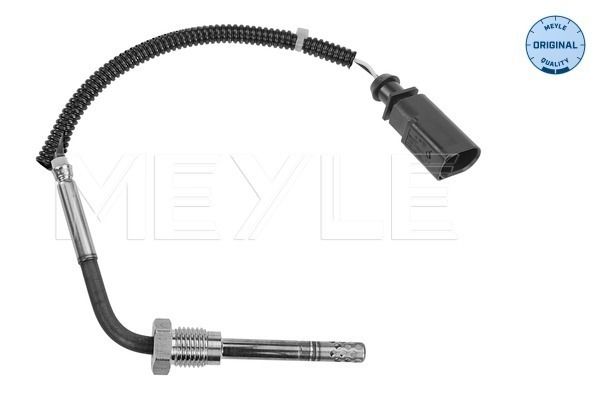 Sensor, Abgastemperatur