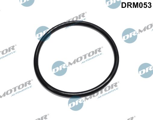 Dr.Motor Automotive DRM053 - Dichtung, Kraftstofffilter