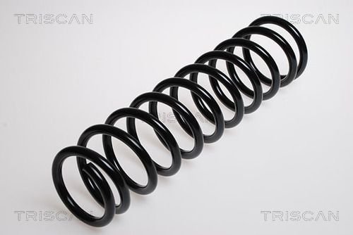 8750 4047 TRISCAN futómű rugó