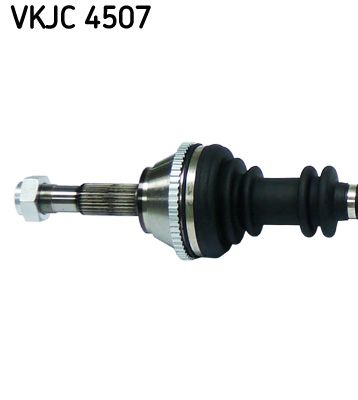 VKJC 4507_2.JPG