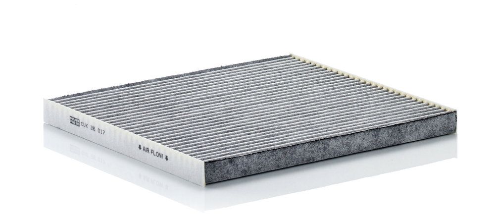 Filter, Innenraumluft