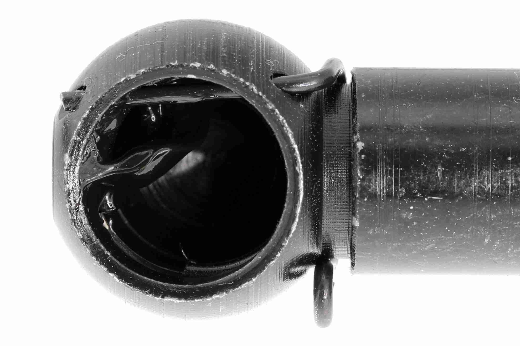 Gasfeder, Koffer-/Laderaum Gasfeder, Koffer-/Laderaum