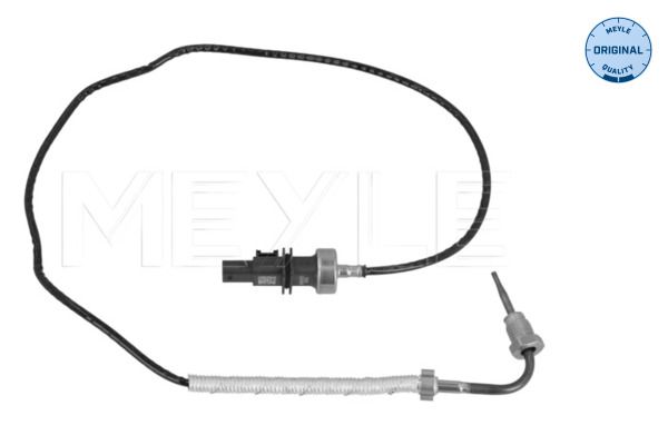 Sensor, Abgastemperatur