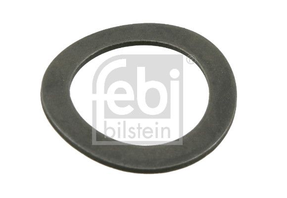 Federstift