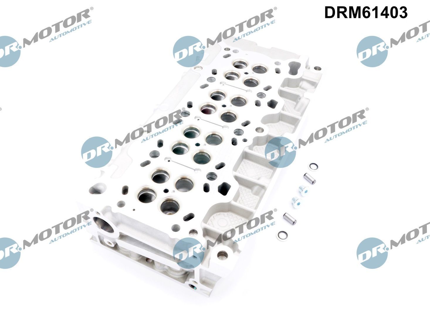 drm_drm61403_wm_03.JPG