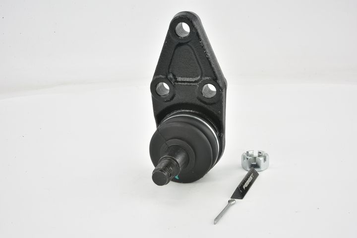 Šarnyras / girgždukas