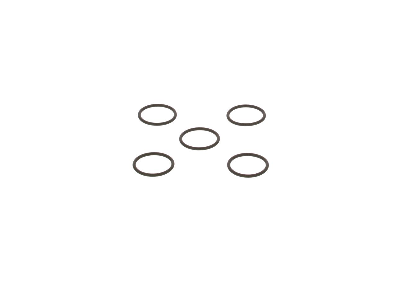 Dichtring