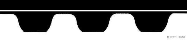 Zahnriemen Zahnriemen