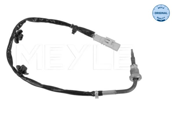 Sensor, Abgastemperatur