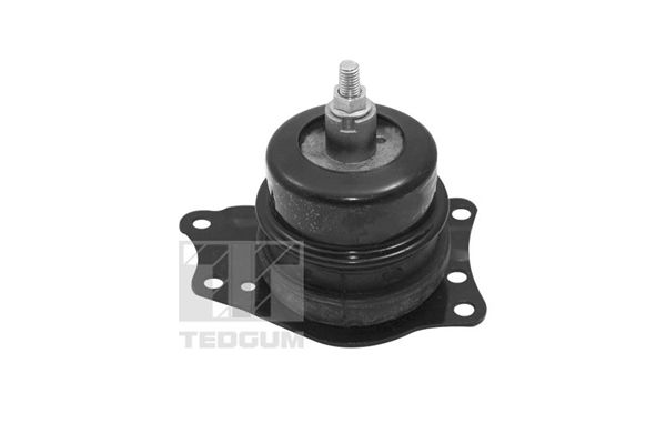 TED40385-A.JPG