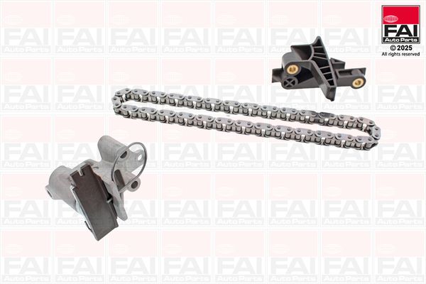 FAI AutoParts TCK166 - Steuerkettensatz