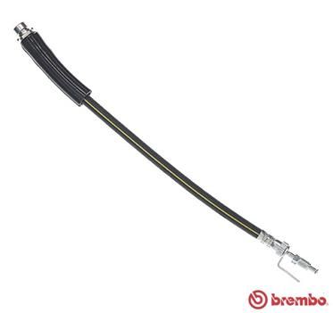 Brake Hose T 24 146