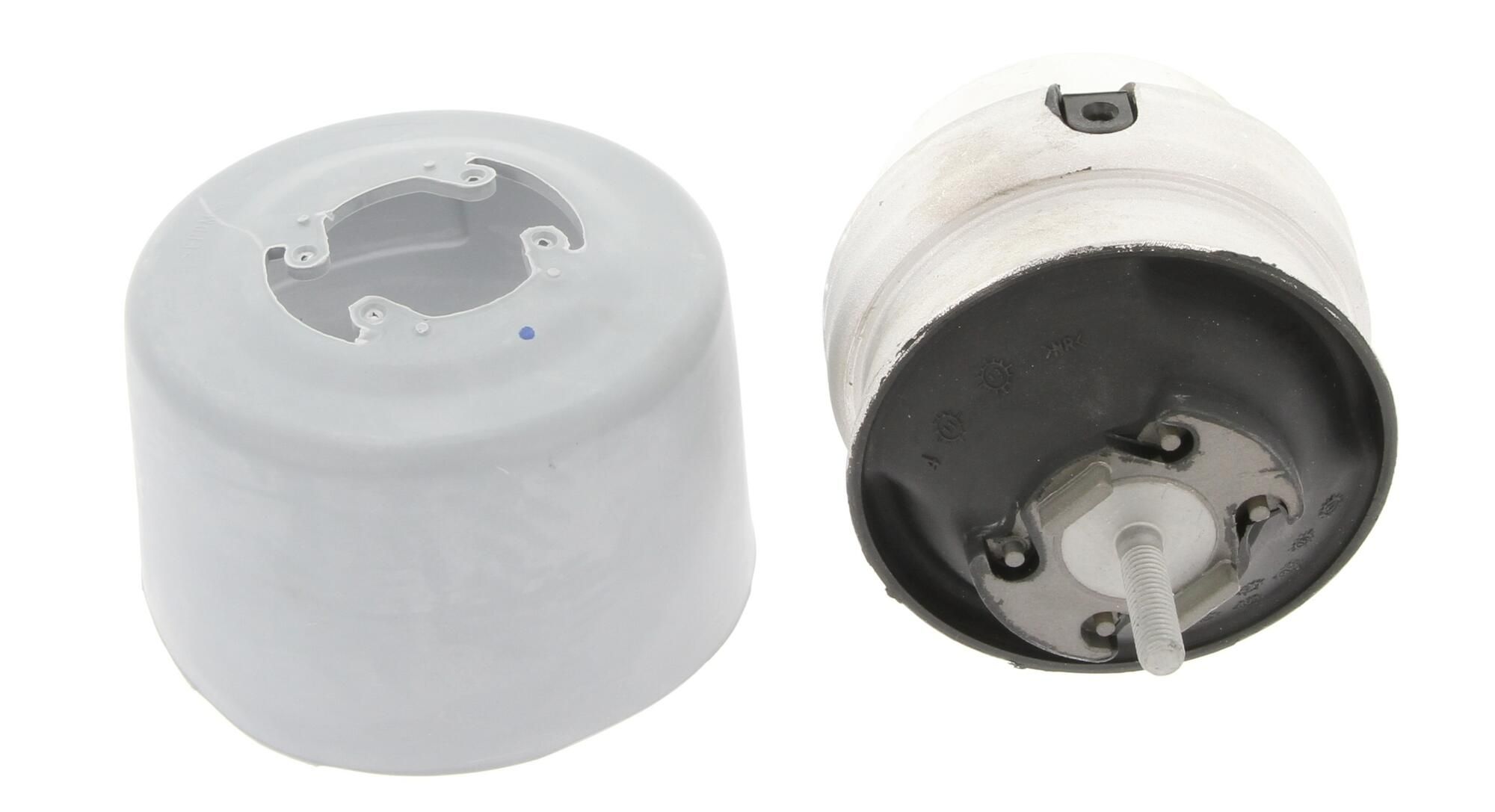 CORTECO 80000010 - Lagerung, Motor