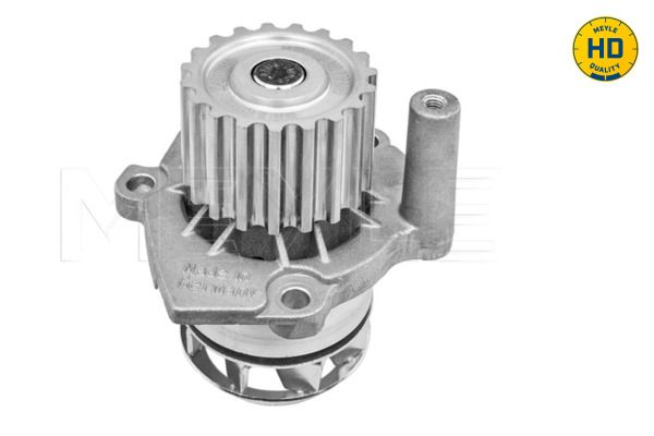 FS_1130120056HD_2.JPG
