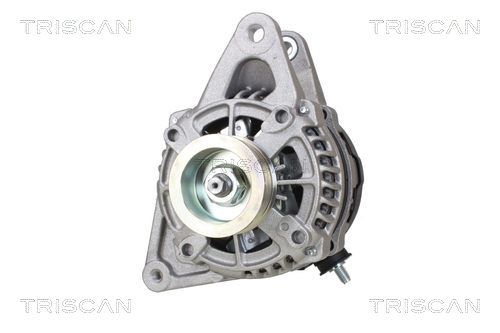 8310 69017 TRISCAN generátor