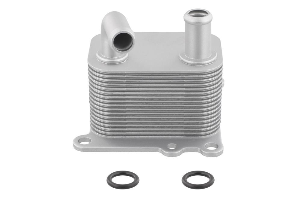 &Ouml;lk&uuml;hler, Motor&ouml;l