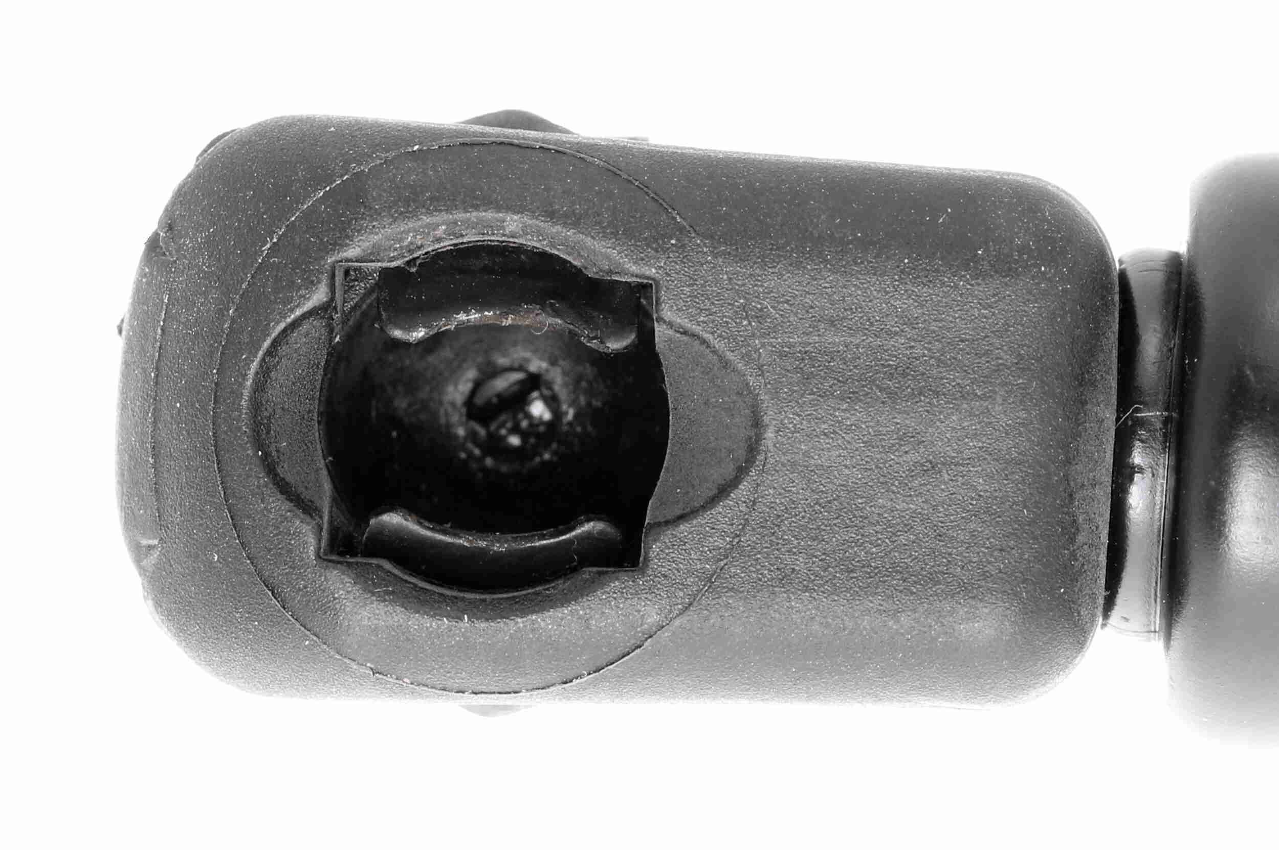 Gasfeder, Koffer-/Laderaum