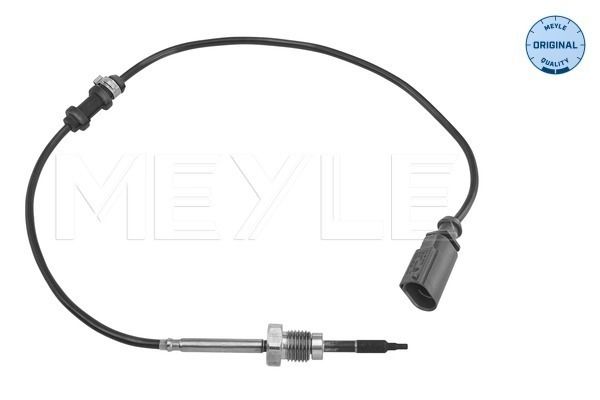 Sensor, Abgastemperatur