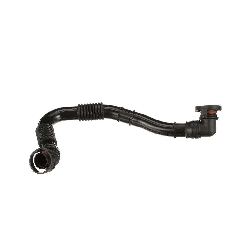 žarna, karterio alsuoklis