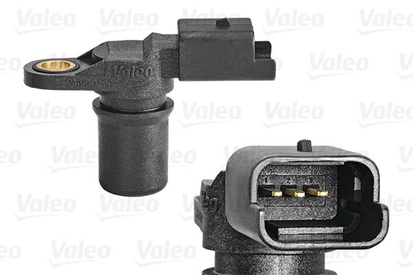 SENSOR_CAMSHAFT_255003_01.JPG