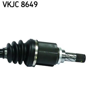 VKJC 8649_3.JPG
