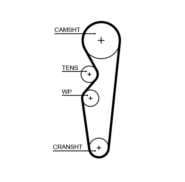 COURROIE DISTRIBUTION