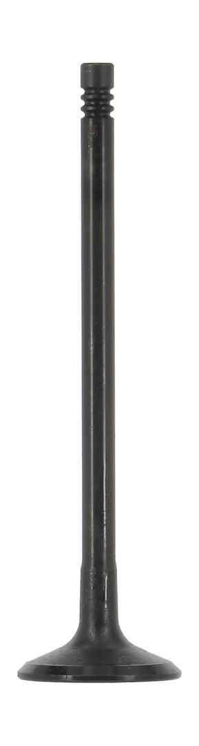 Einlassventil