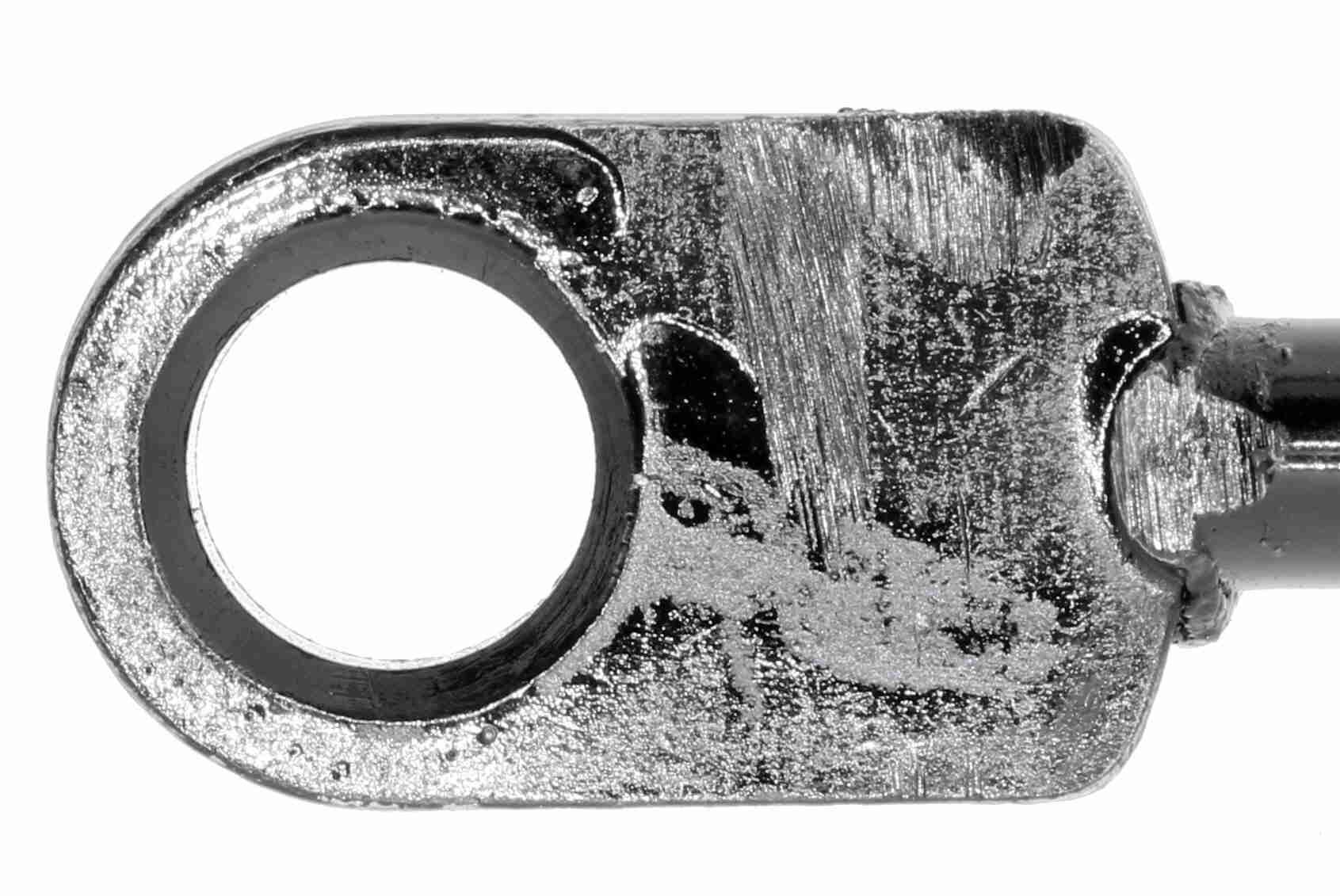 Gasfeder, Motorhaube Gasfeder, Motorhaube