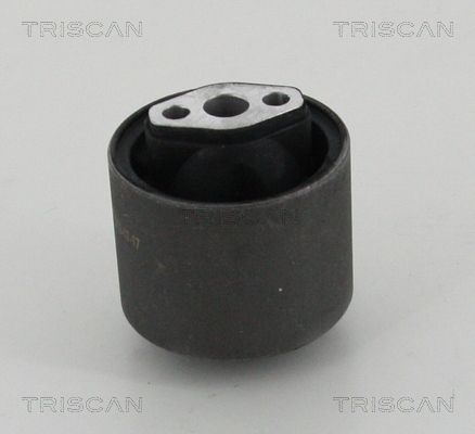 TRISCAN 8500 24881 - Lagerung, Lenker