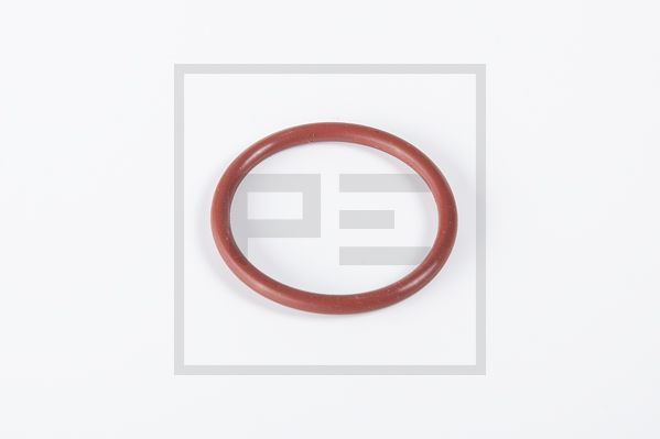 Dichtring
