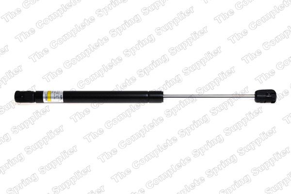 Gasfeder, Koffer-/Laderaum