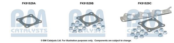 BM CATALYSTS FK91529 - Montagesatz, Katalysator