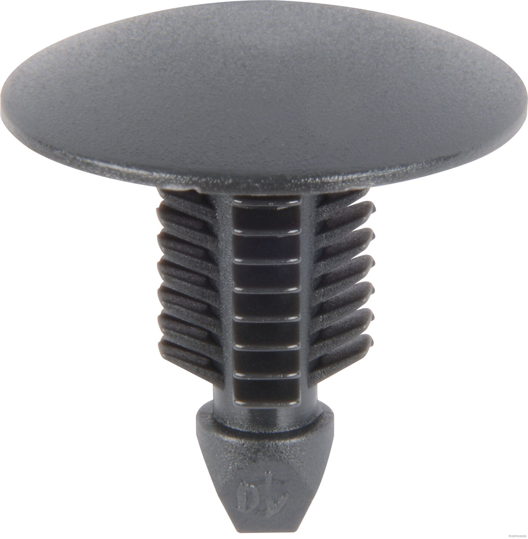 Clip, Zier-/Schutzleiste