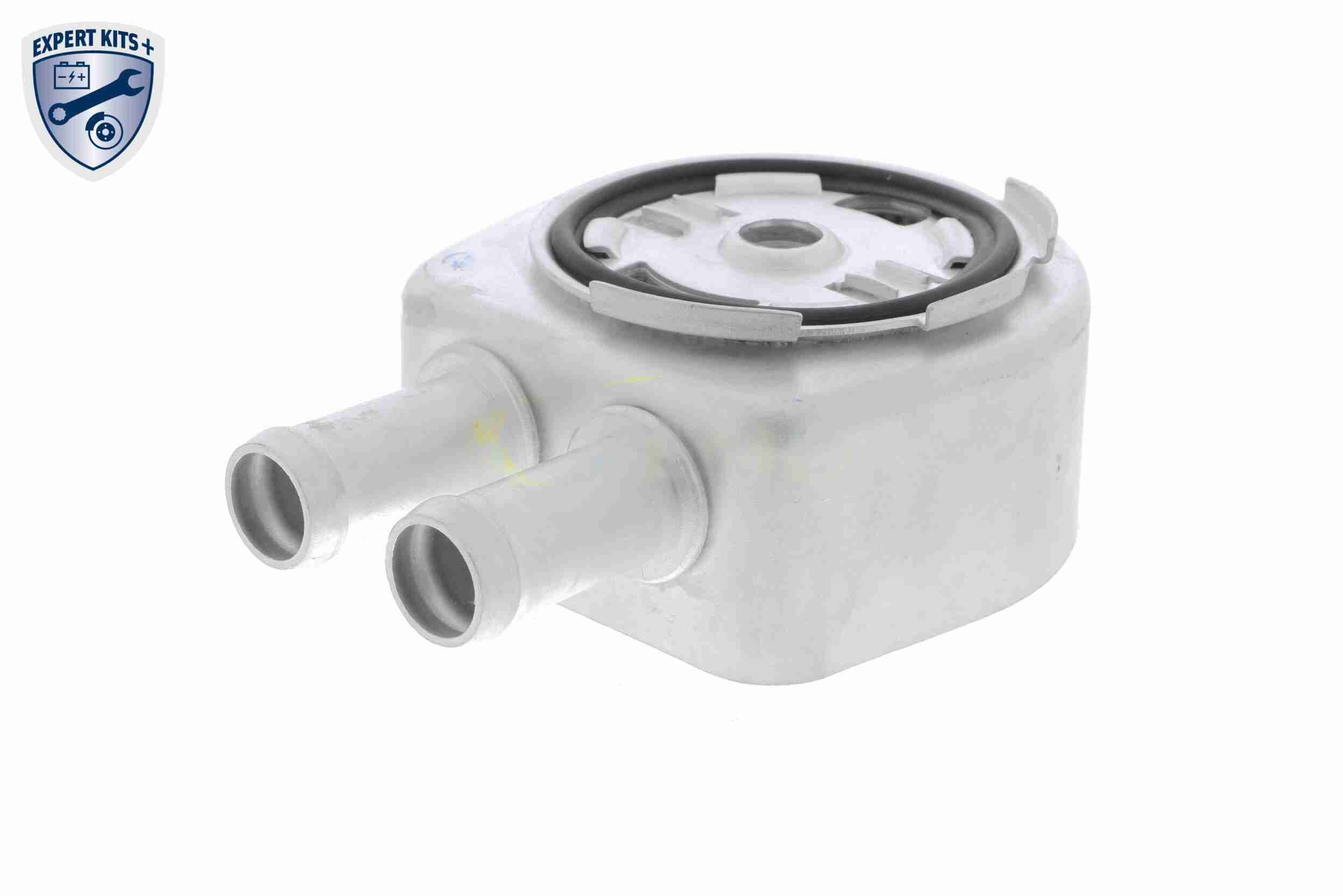 &Ouml;lk&uuml;hler, Motor&ouml;l