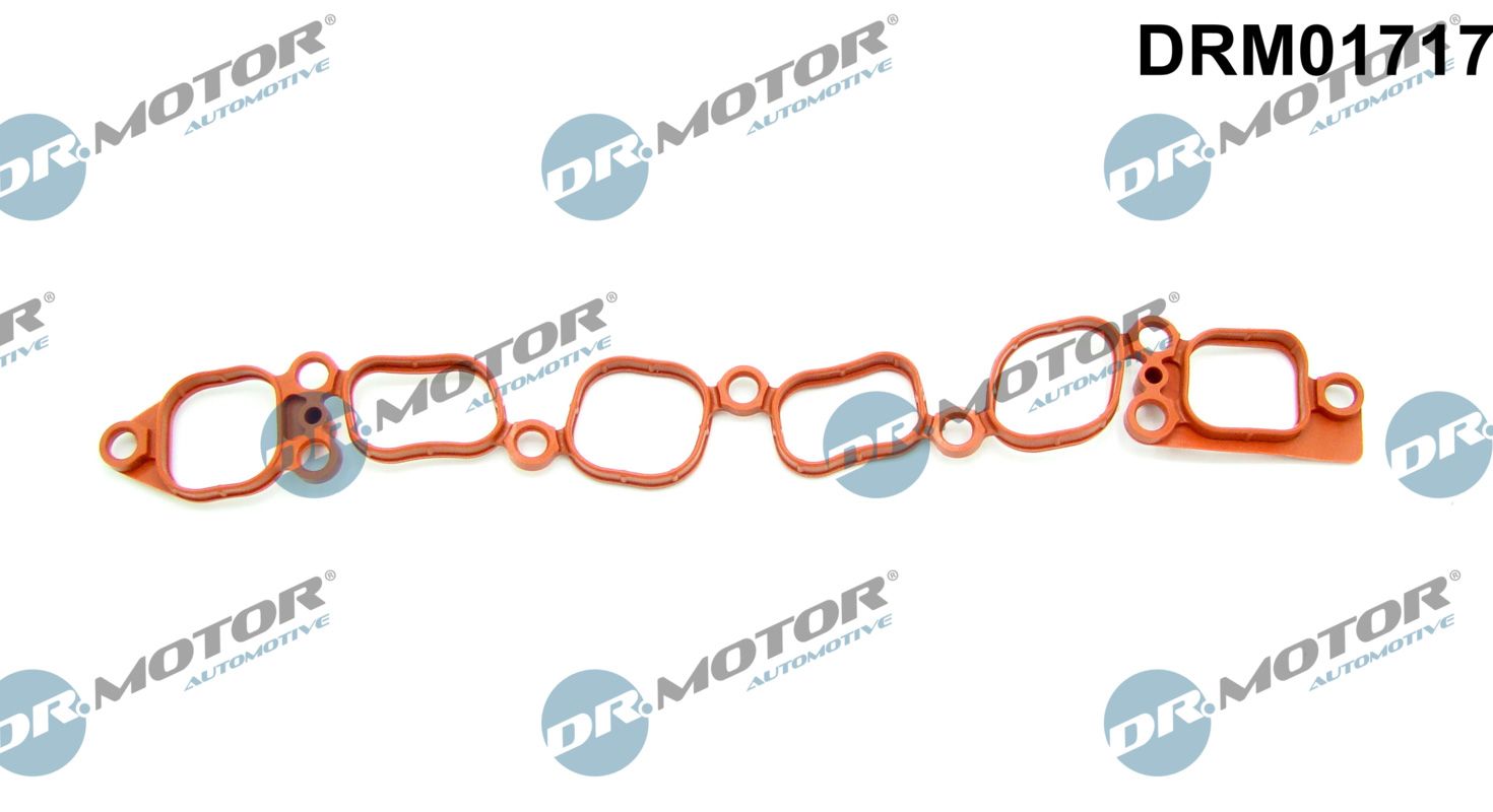 Dr.Motor Automotive DRM01717 Dichtung, Ansaugkrümmer
